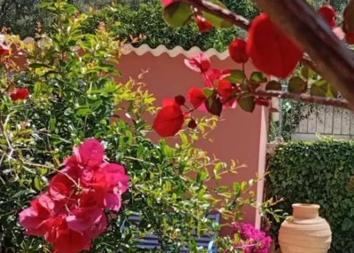 Julietta Suites Αργοστόλι